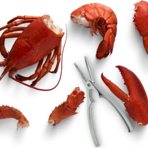 Pinza per aragoste / crostacei - immagine 3